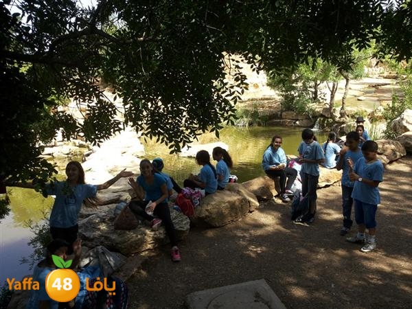 rashidiyasy 0531 (2).jpg